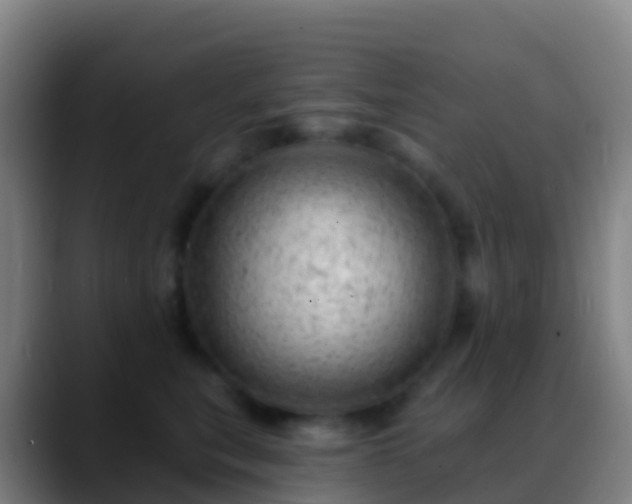 X0000088900567200706151850