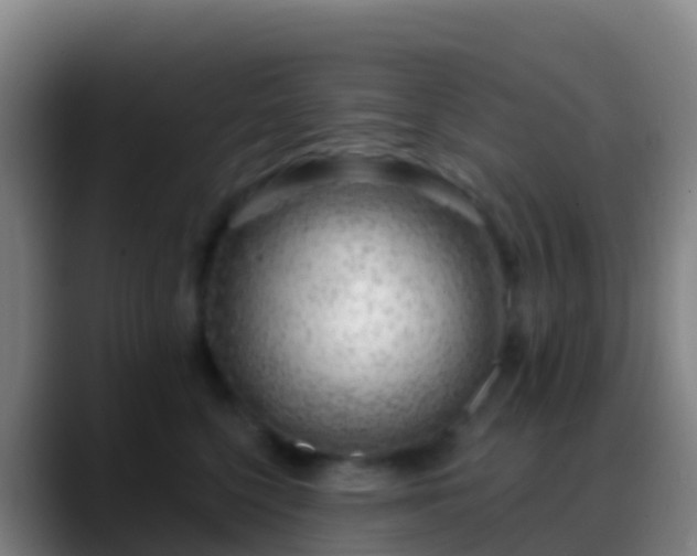 X0000088900568200706151850