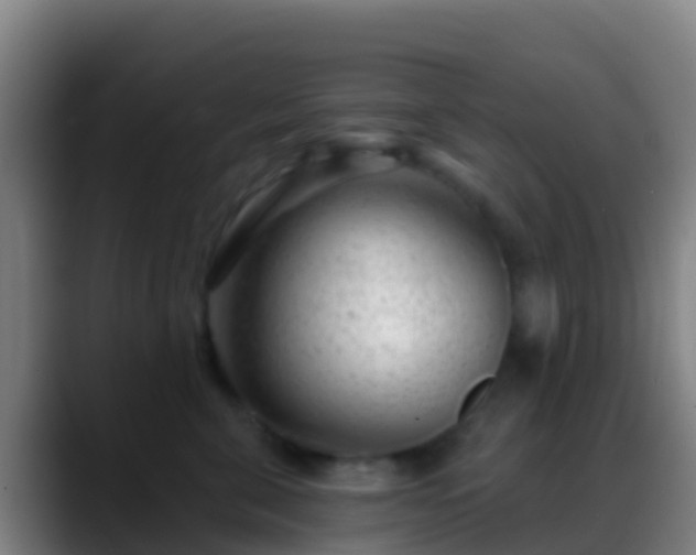 X0000088900571200706151850