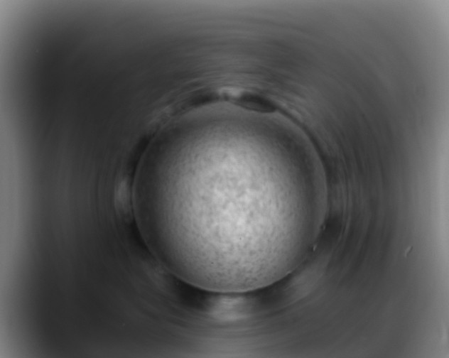 X0000088900575200706151850