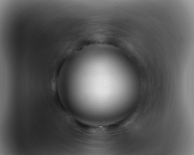 X0000088900576200706151850