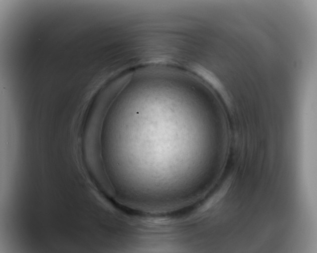 X0000088900577200706151849