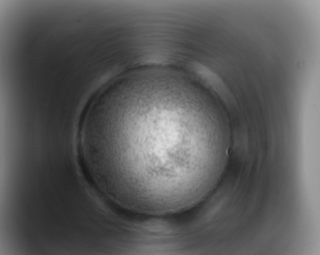 X0000088900578200706151849