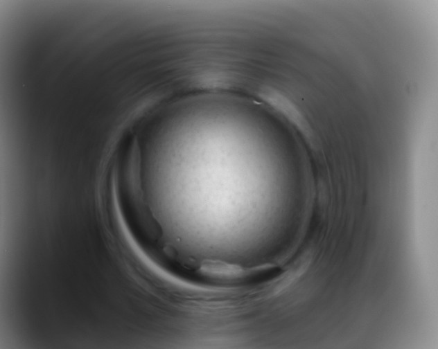 X0000088900581200706151849