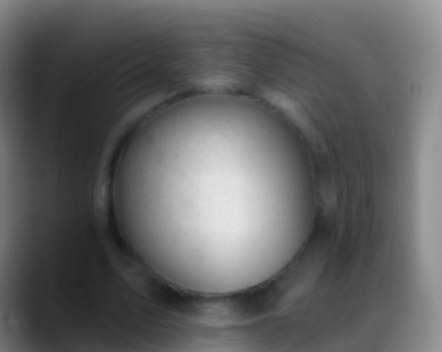 X0000088900583200706151849