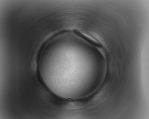 X0000088900584200706151849