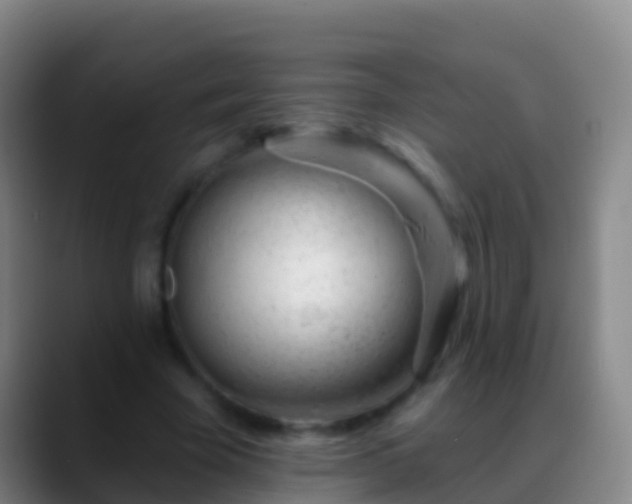 X0000088900585200706151849