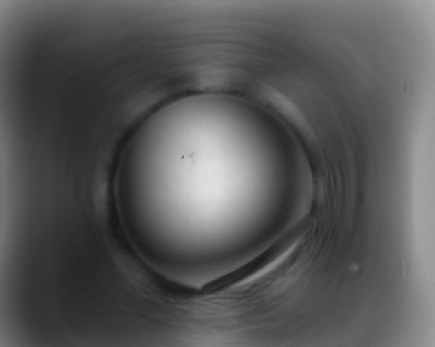 X0000088900588200706151849