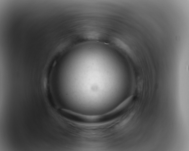 X0000088900589200706151849