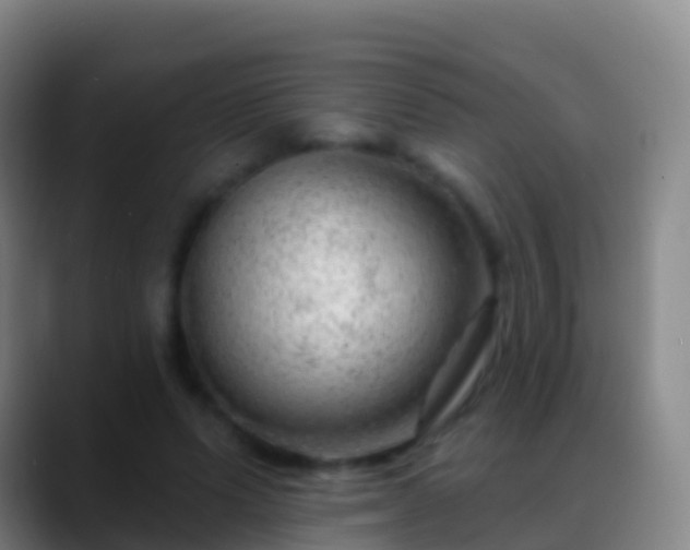 X0000088900591200706151849