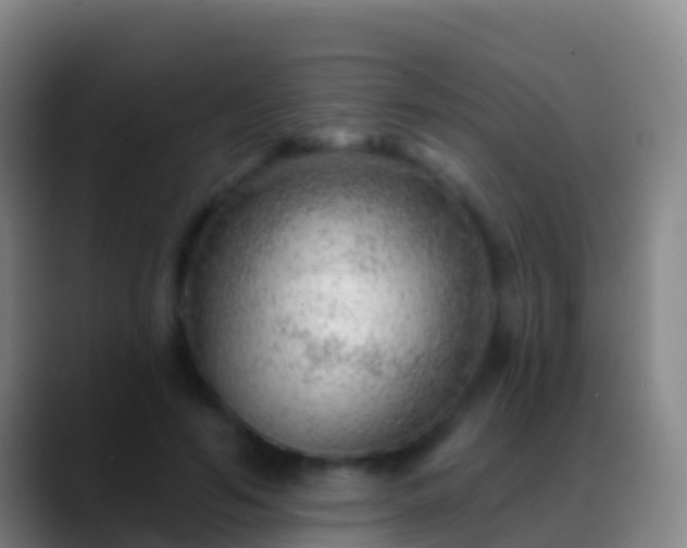 X0000088900594200706151849