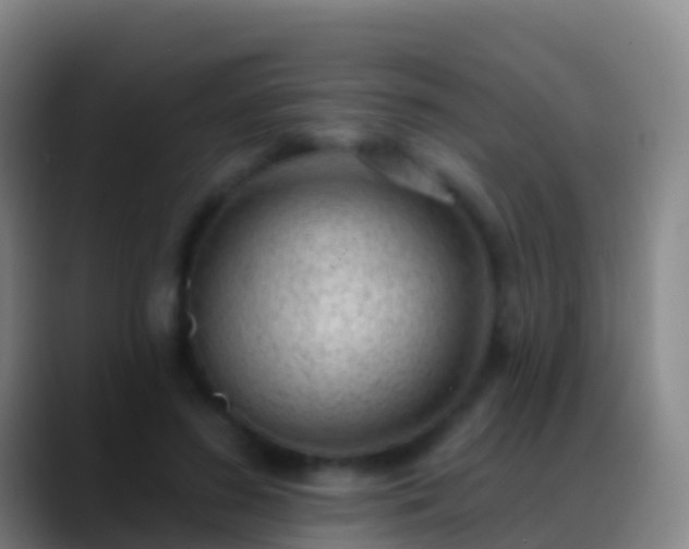 X0000088900596200706151849