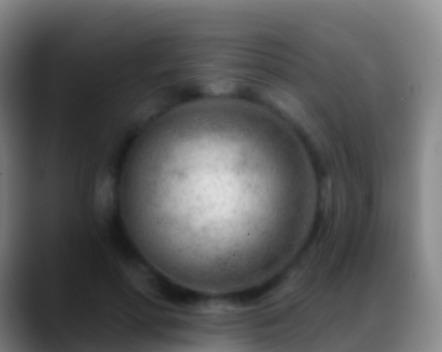 X0000088900598200706151849