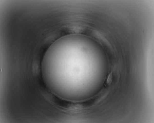 X0000088900599200706151849