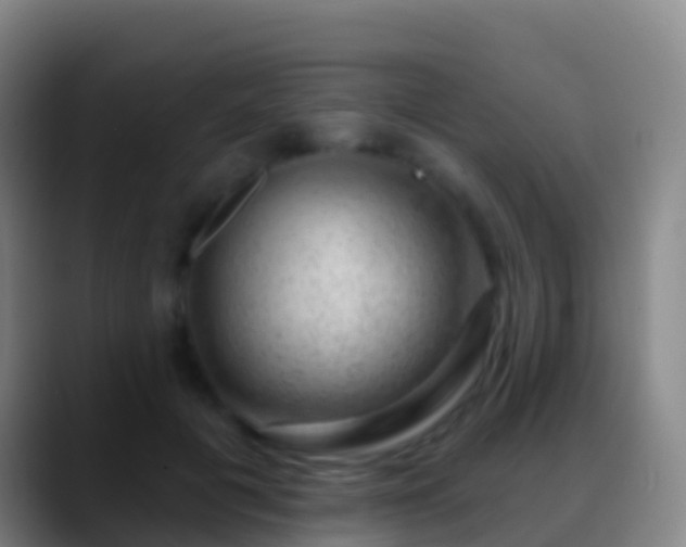 X0000088900601200706151849