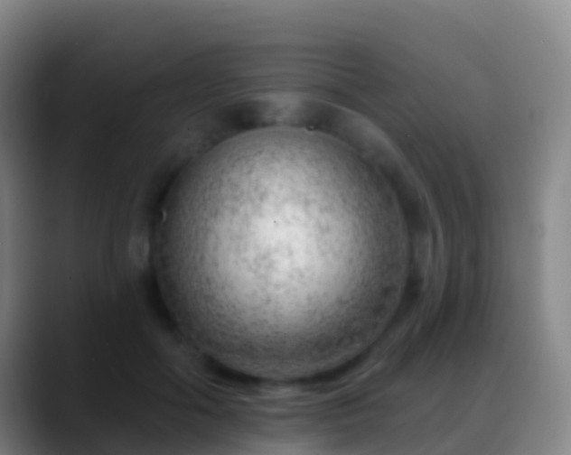 X0000088900602200706151849