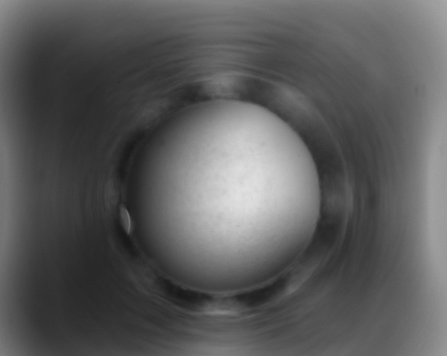 X0000088900603200706151849