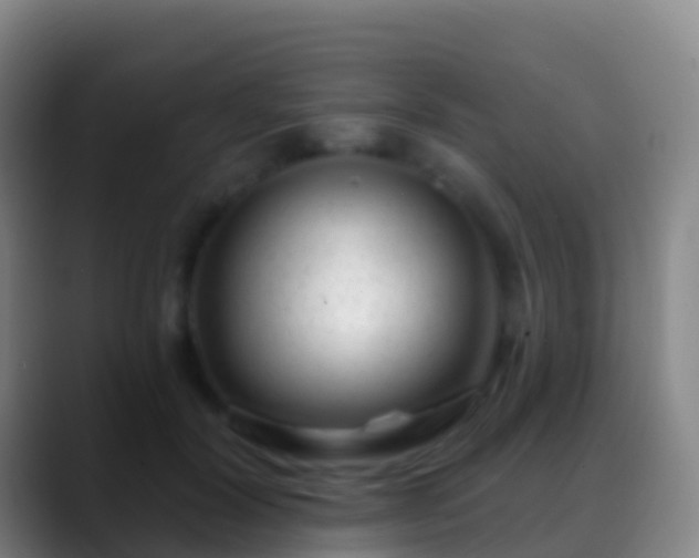 X0000088900604200706151849