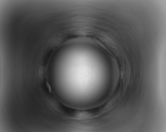 X0000088900605200706151849