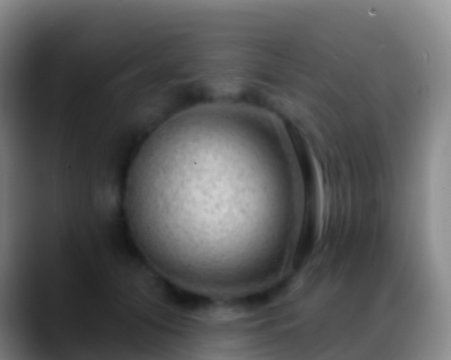 X0000088900608200706151849