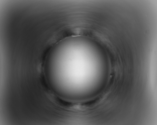 X0000088900611200706151849