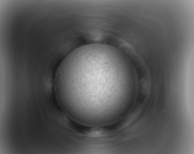 X0000088900612200706151849
