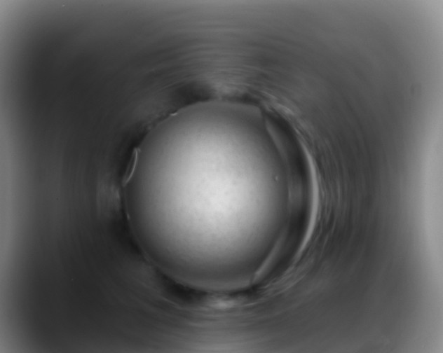 X0000088900613200706151849