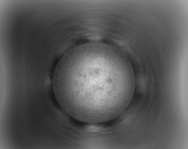 X0000088900614200706151849