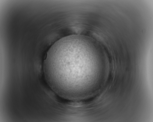 X0000088900615200706151849