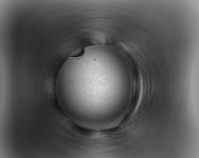 X0000088900616200706151849