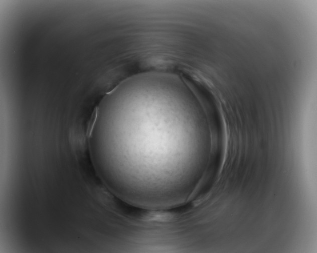 X0000088900617200706151849