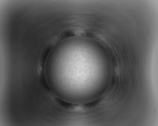 X0000088900618200706151849