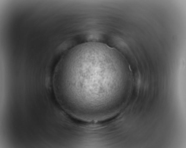 X0000088900619200706151849