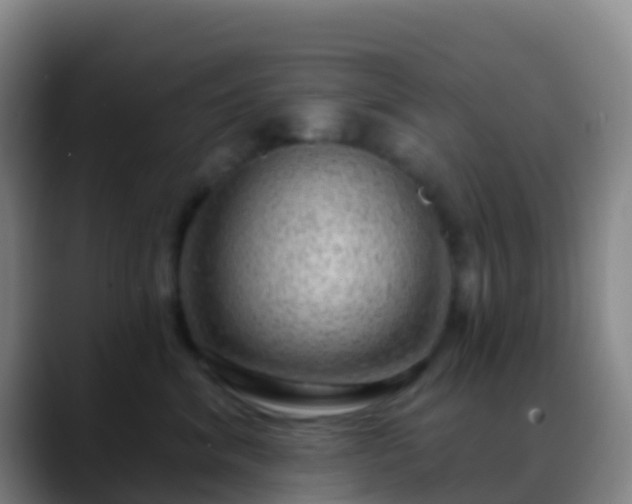 X0000088900620200706151849