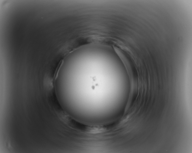 X0000088900621200706151849