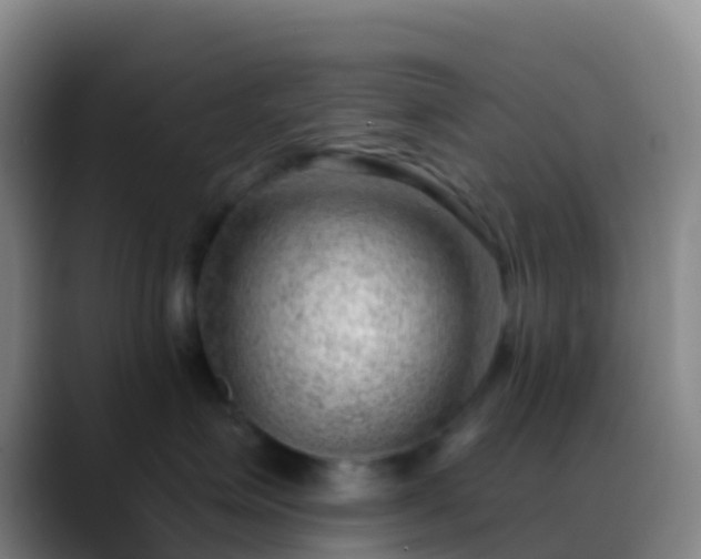 X0000088900623200706151849