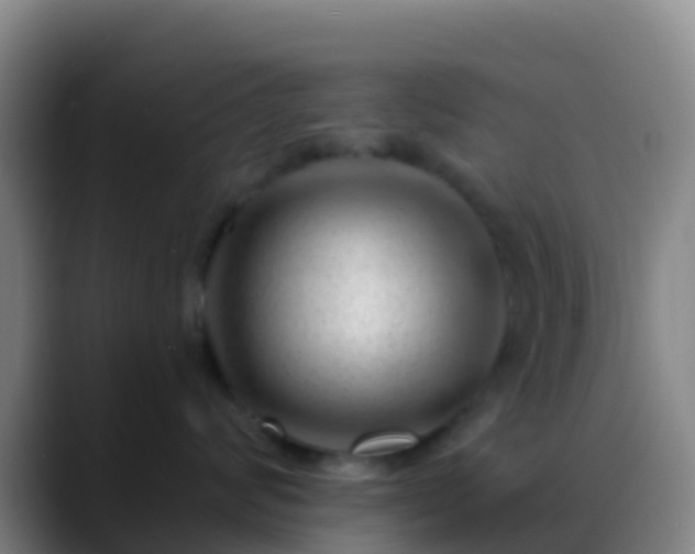 X0000088900624200706151849