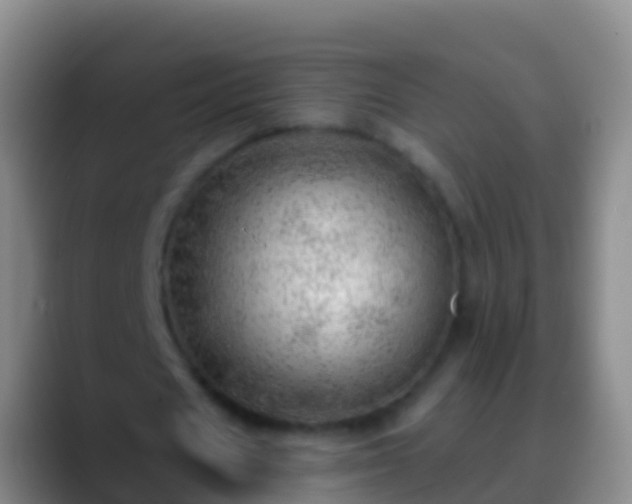 X0000088900625200706151848