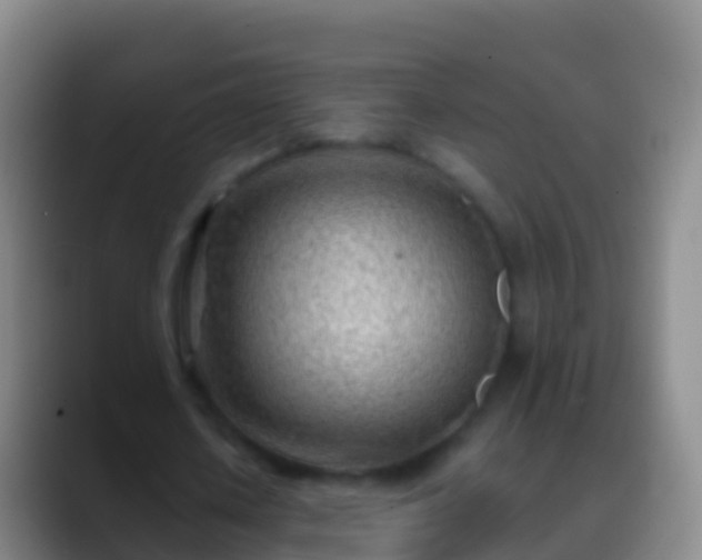 X0000088900626200706151848