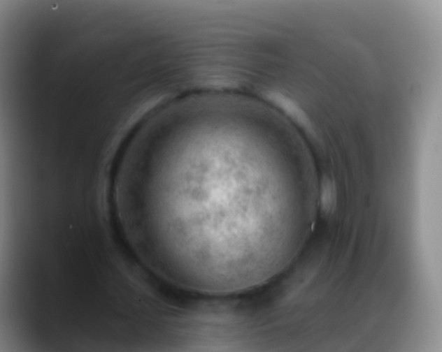 X0000088900627200706151848