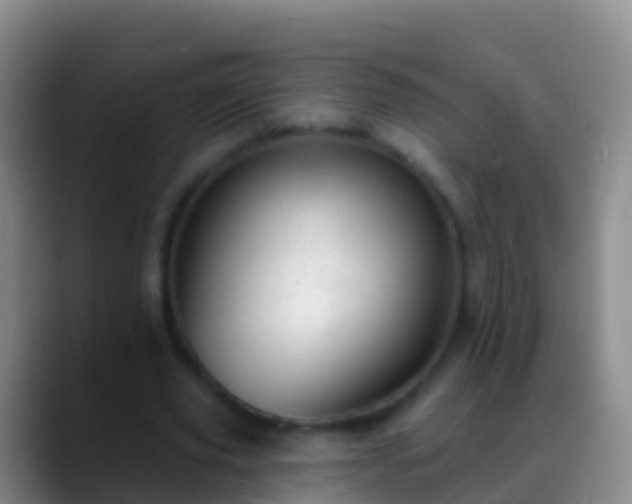 X0000088900629200706151848