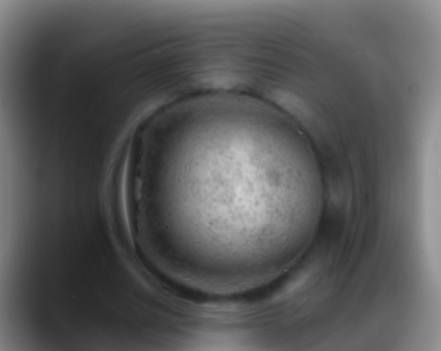 X0000088900630200706151848