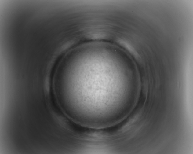 X0000088900631200706151848