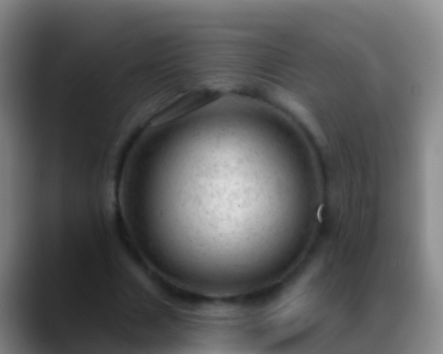 X0000088900633200706151848