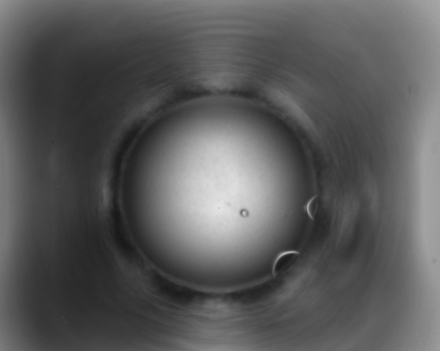 X0000088900635200706151848