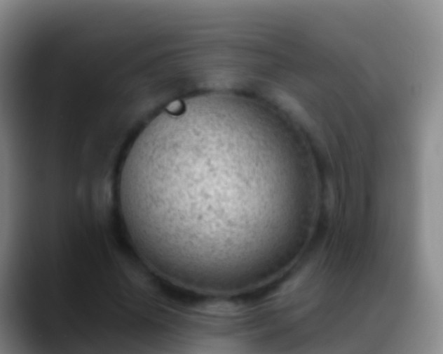 X0000088900636200706151848