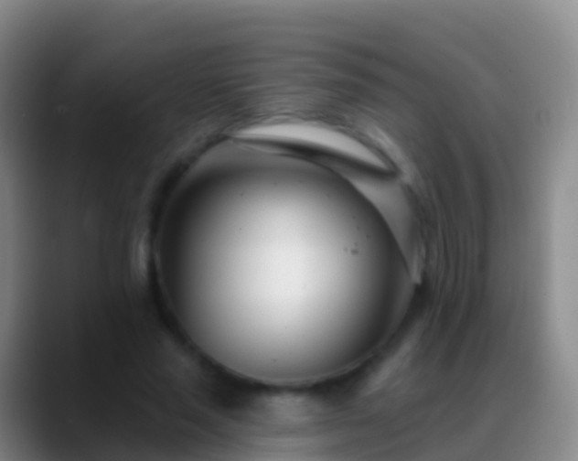 X0000088900637200706151848