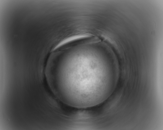 X0000088900641200706151849
