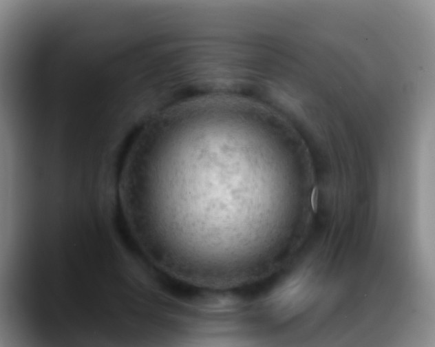 X0000088900642200706151849