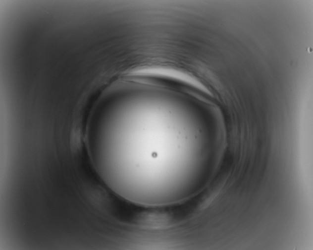 X0000088900644200706151849
